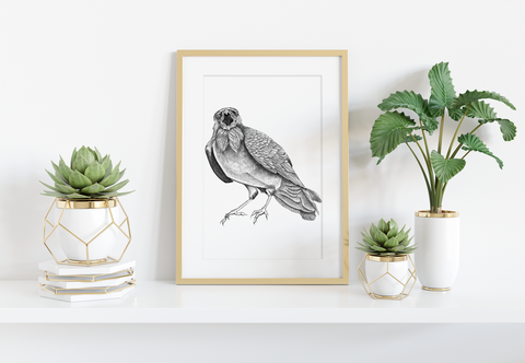 Squawking Crow Art Print