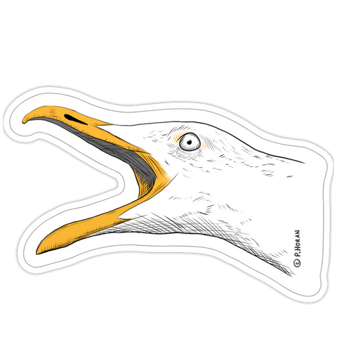 Squawking Seagull Sticker