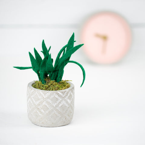 Dark Green Potted Plant