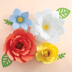 Big Bloom DIY Flower Kit by Paper Source