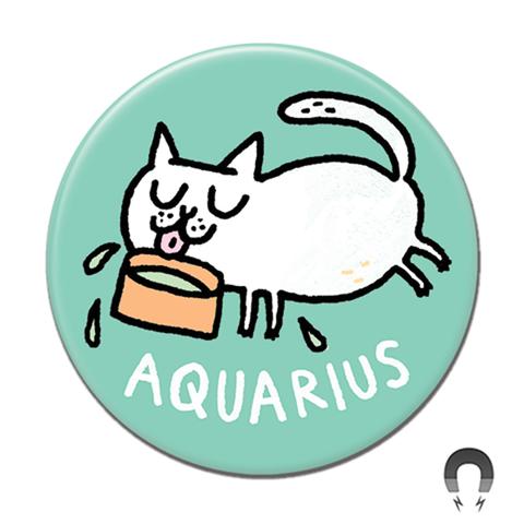 Aquarius Catstrology Magnet by Badge Bomb