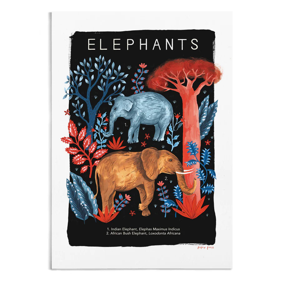 Elephants Natural History Artists Print by Papio Press