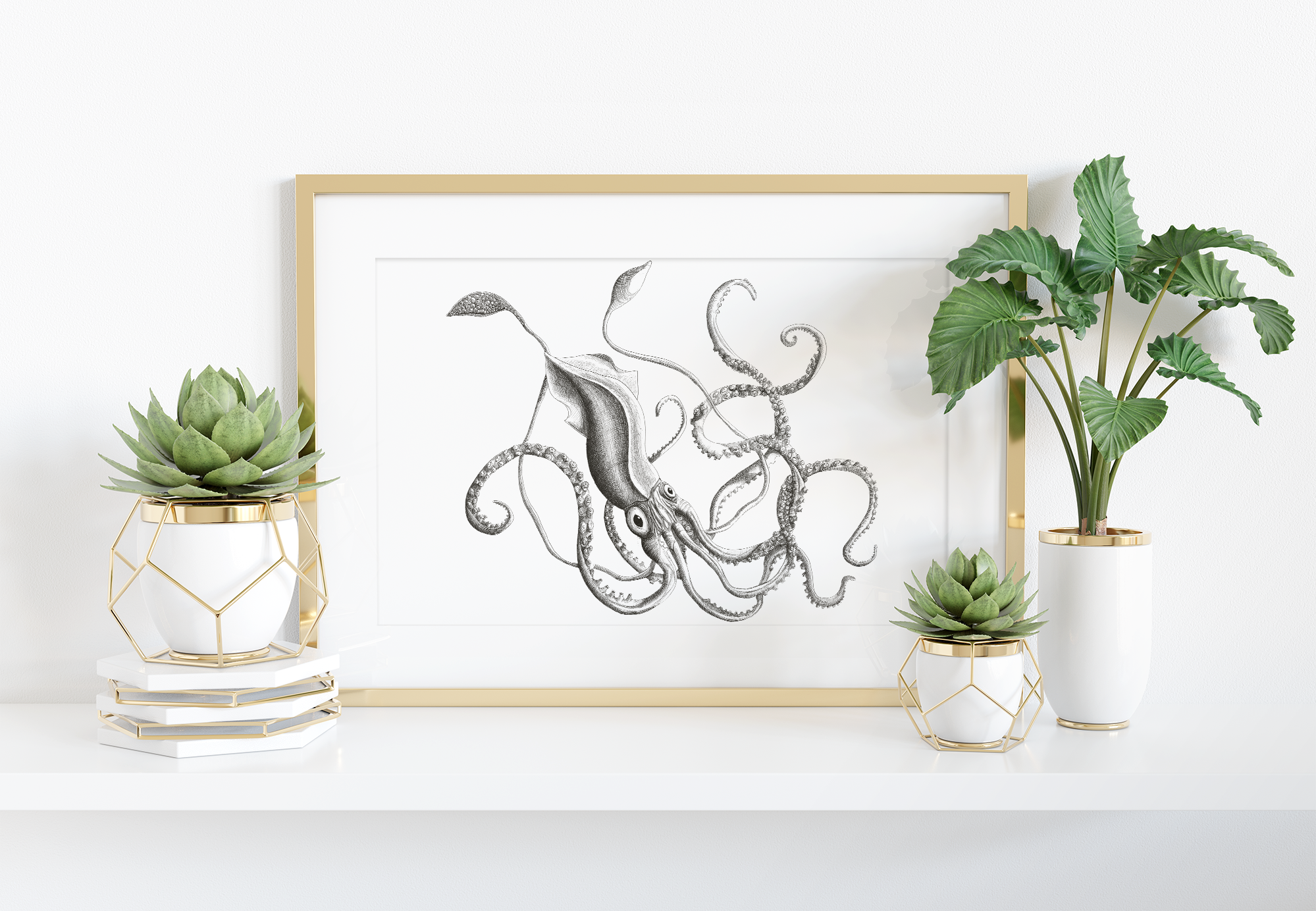 Giant Squid Art Print