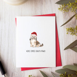 Havanese Christmas Card by Driven To Ink