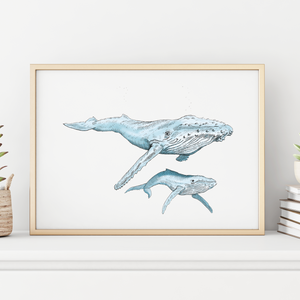 Humpback Whale and Baby Art Print