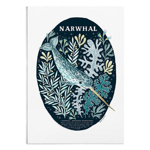 Narwhal Natural History Art Print by Papio Press