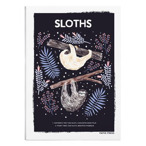 Sloths Natural History Art Print by Papio Press