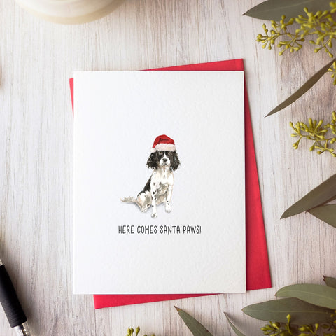 Springer Spaniel Christmas Card by Driven To Ink