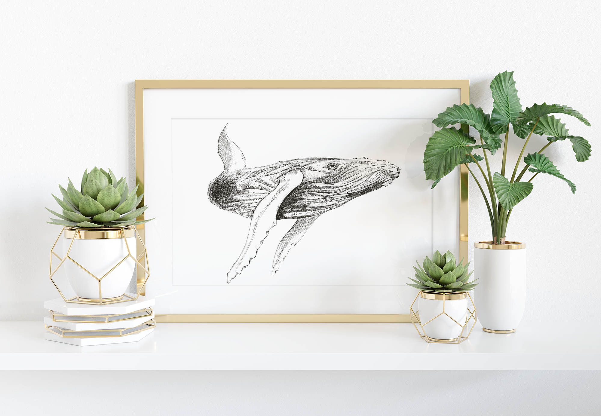 Whale (2) Art Print