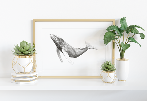 Whale (1) Art Print