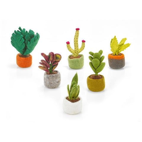 Miniature Plants Decoration