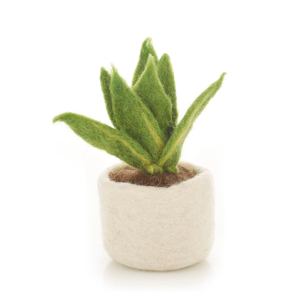 Miniature Plants Decoration