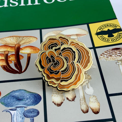 Turkey Tail Mushroom Pin